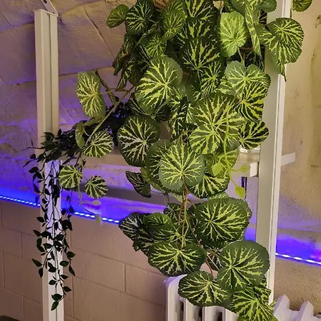 Ederina Bed & Breakfast